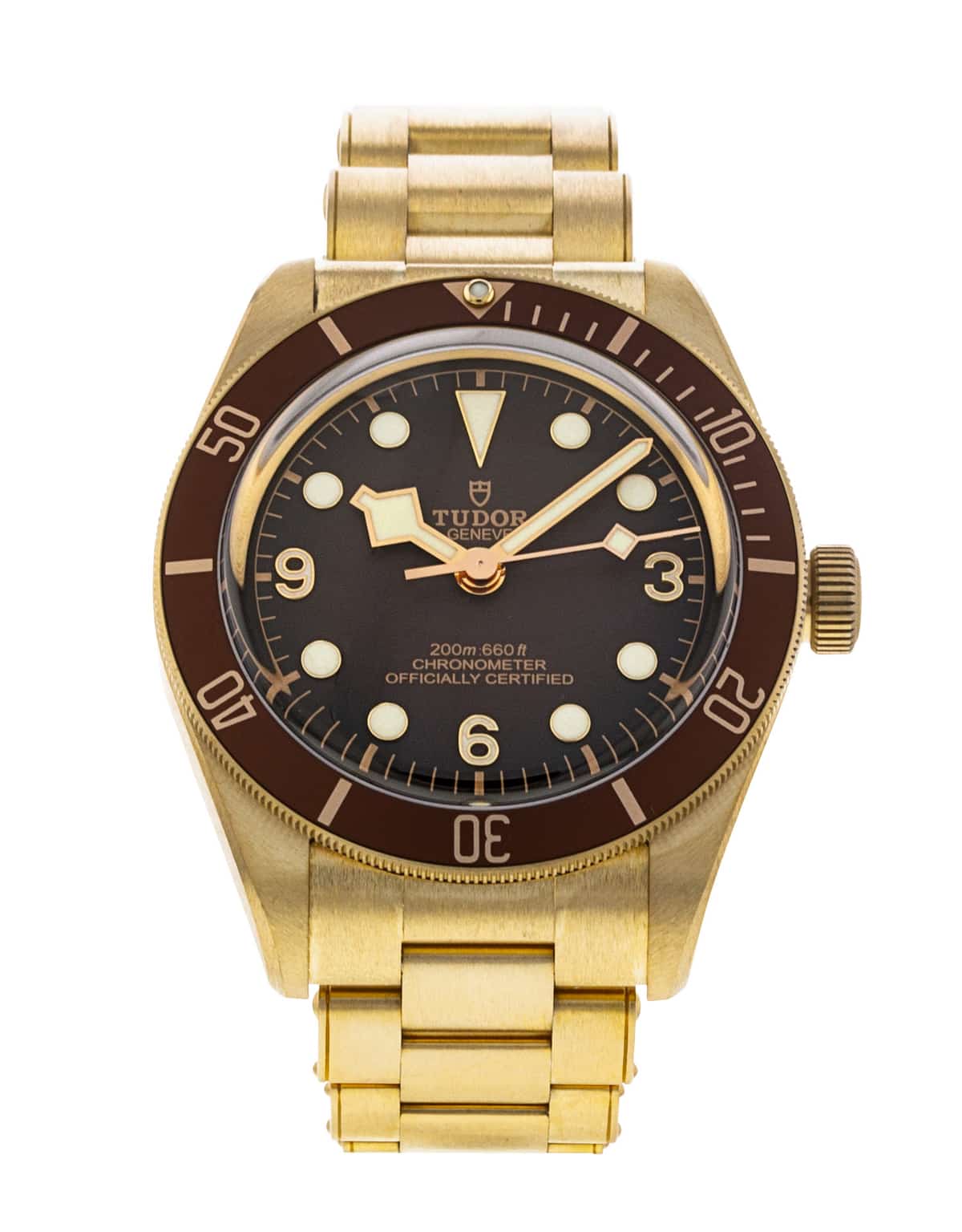 Tudor Black Bay M79012M-0001
